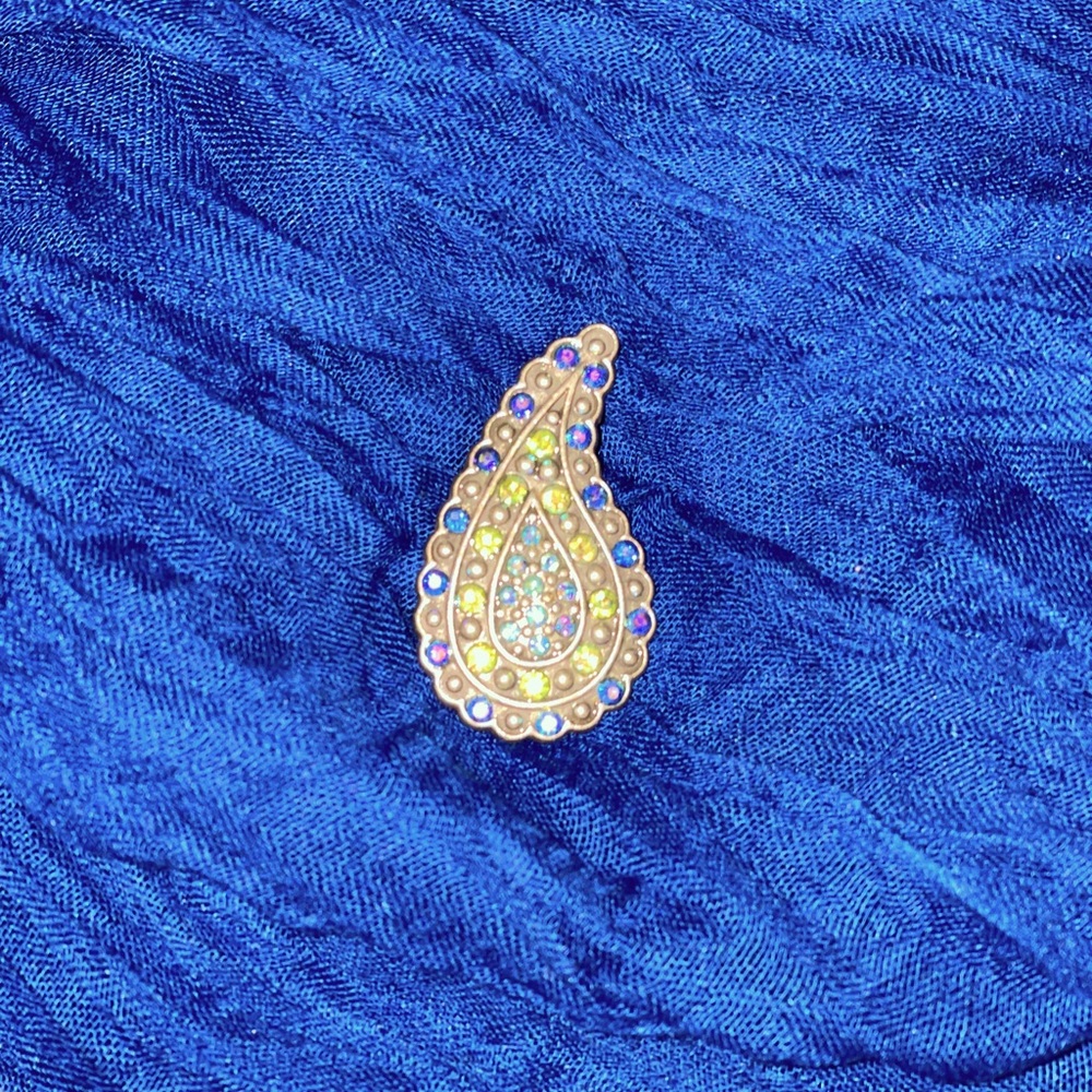 Paisley Brooch/Pin